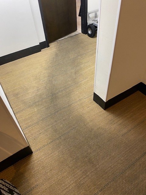 Perry Hotel Naples carpet before cleaning